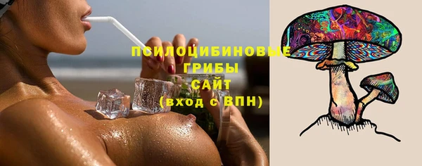 стафф Дмитров