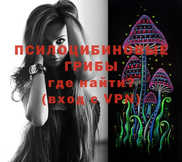 кокаин Дмитриев