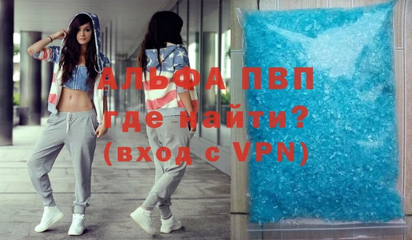 стафф Дмитров